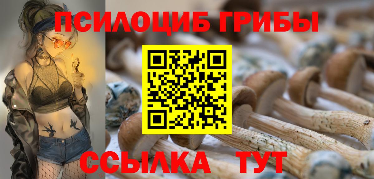 Псилоцибиновые грибы мухоморы Москва