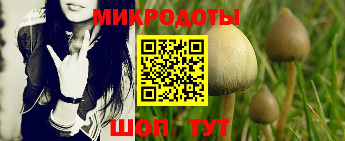 Москва  Псилоцибиновые грибы Psilocybine cubensis  Вход с VPN 